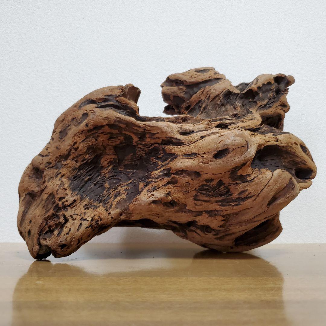 【267】大型流木　インテリアや爬虫類などに　止まり木　アクアリウム