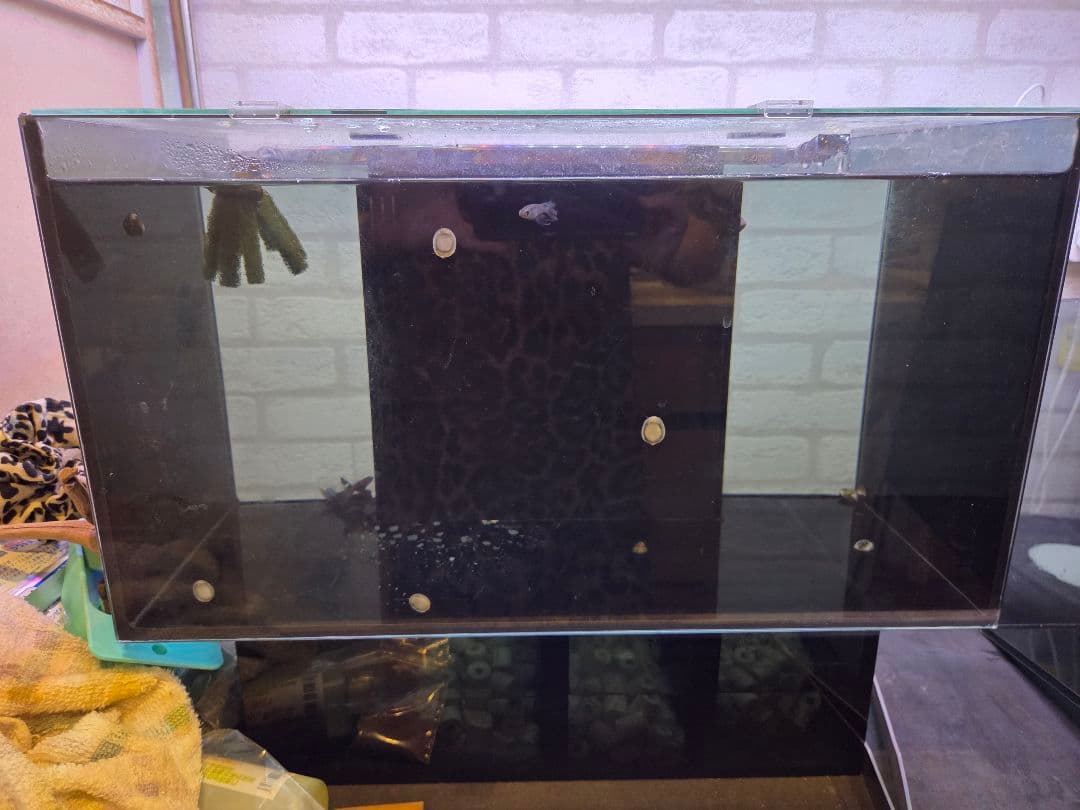 GEX グラステリア AGS OF-450 オーバーフロー水槽