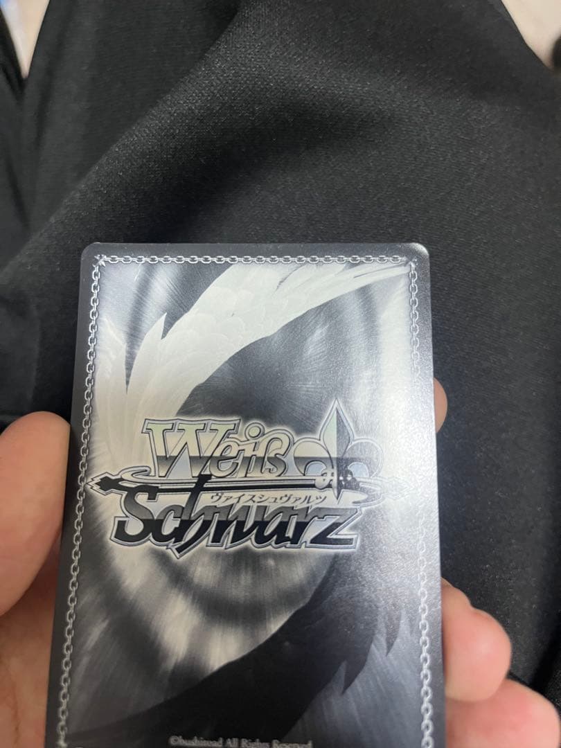 ヴァイスシュヴァルツ　ヒンデンブルクsp サイン