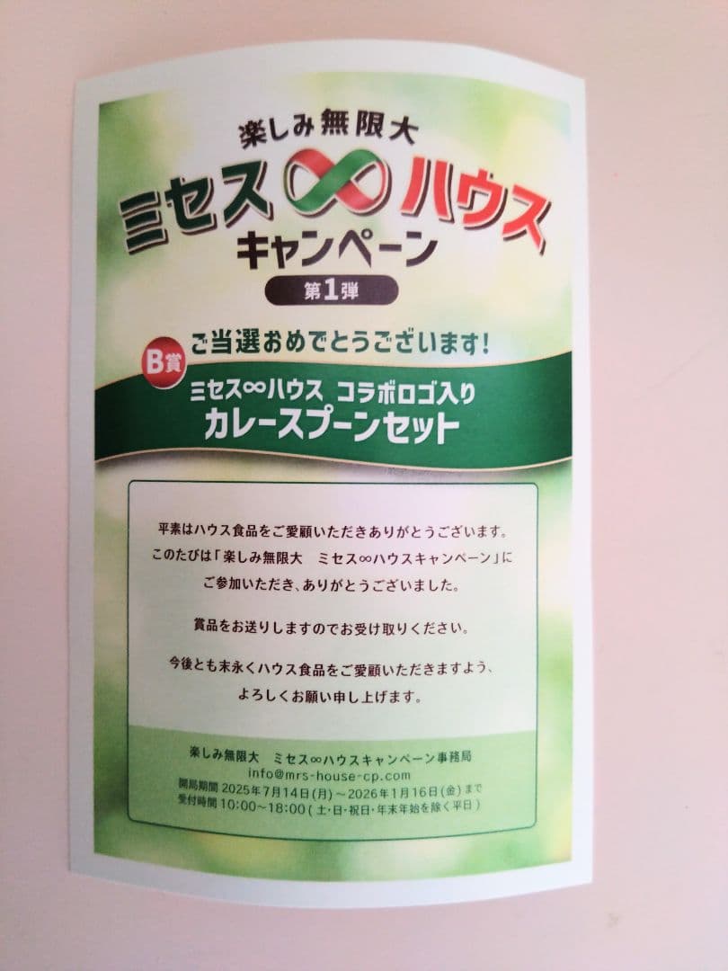 ミセス∞ハウス☆ロゴ入りカレースプーンセット☆非売品☆ミセスグリーンアップル