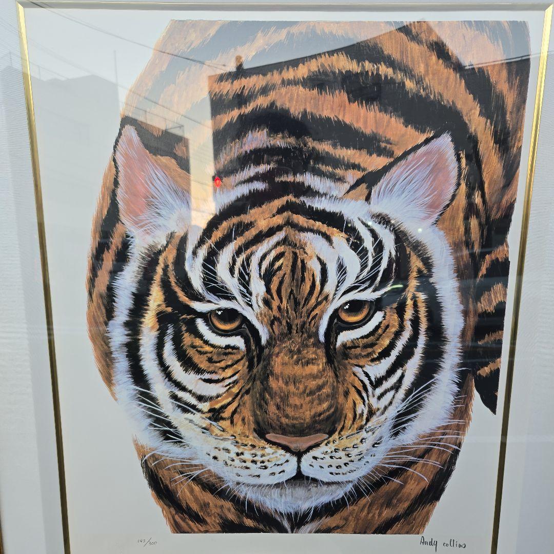 Andy Collins トラの絵画