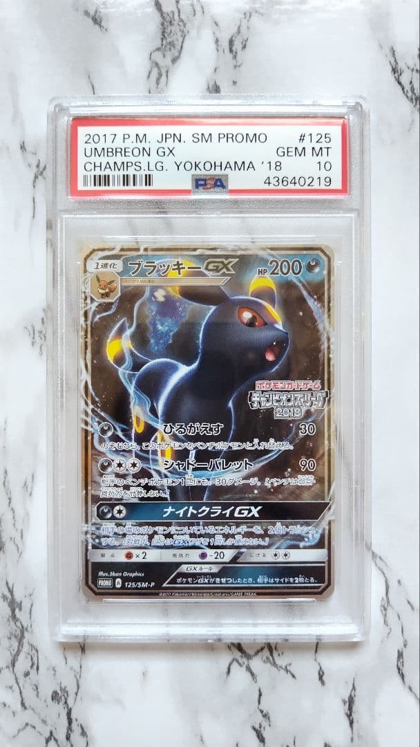 PSA10　ブラッキーGX　プロモ　2018　チャンピオンズリーグ