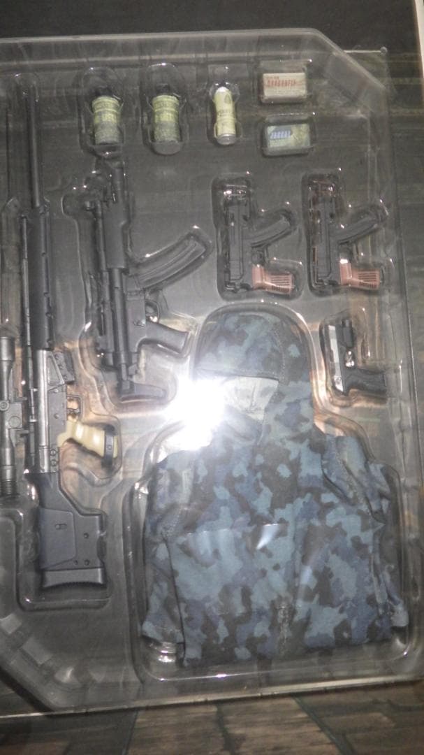 ホットトイズ　HOTTOYS　バイオハザード