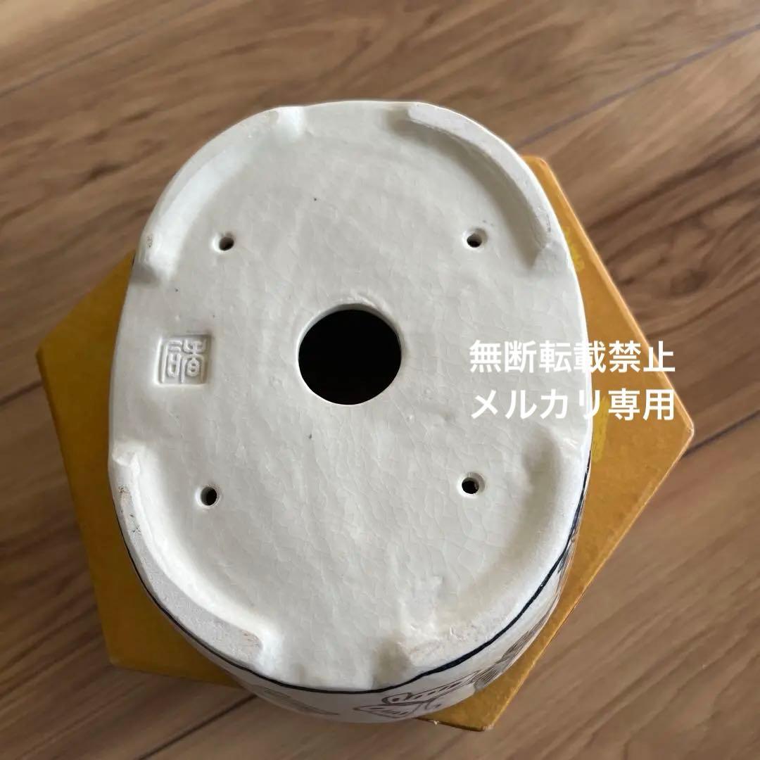 盆栽鉢　小品盆栽　桑津香石　絵鉢　楕円形　蝶　山野草