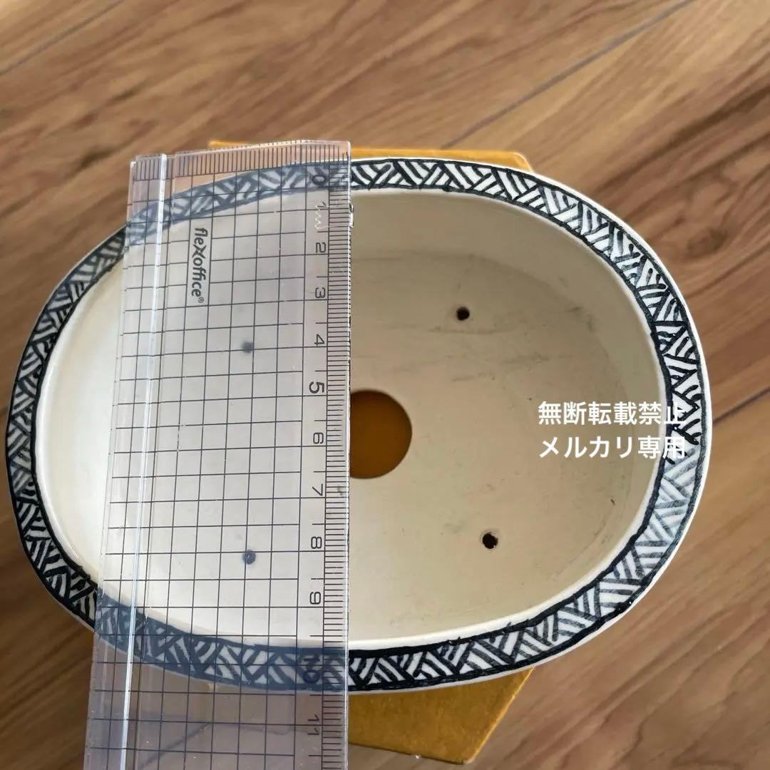 盆栽鉢　小品盆栽　桑津香石　絵鉢　楕円形　蝶　山野草