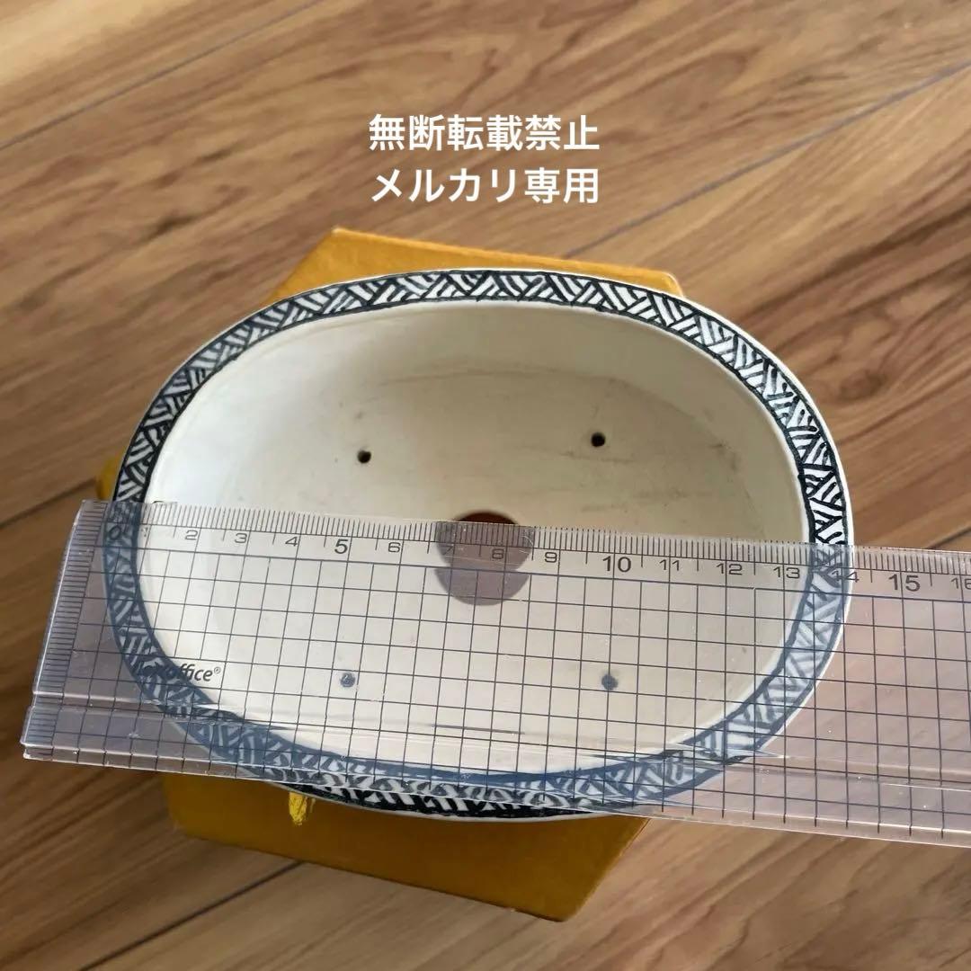 盆栽鉢　小品盆栽　桑津香石　絵鉢　楕円形　蝶　山野草