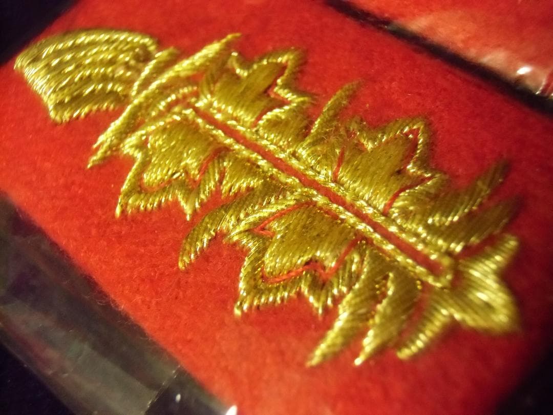 ＢＷドイツ軍/連邦軍＊陸軍/空軍将官襟章（実物）