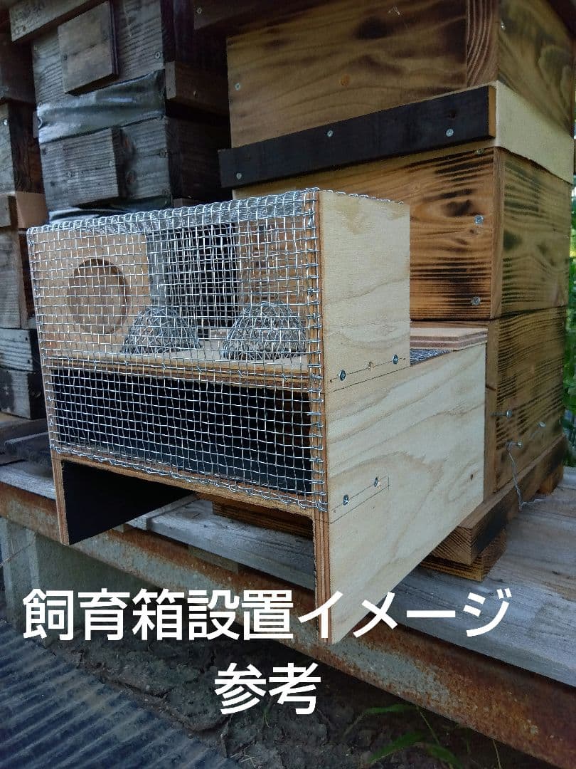スズメバチ捕獲器　スズメバチトラップ　2個売りです
