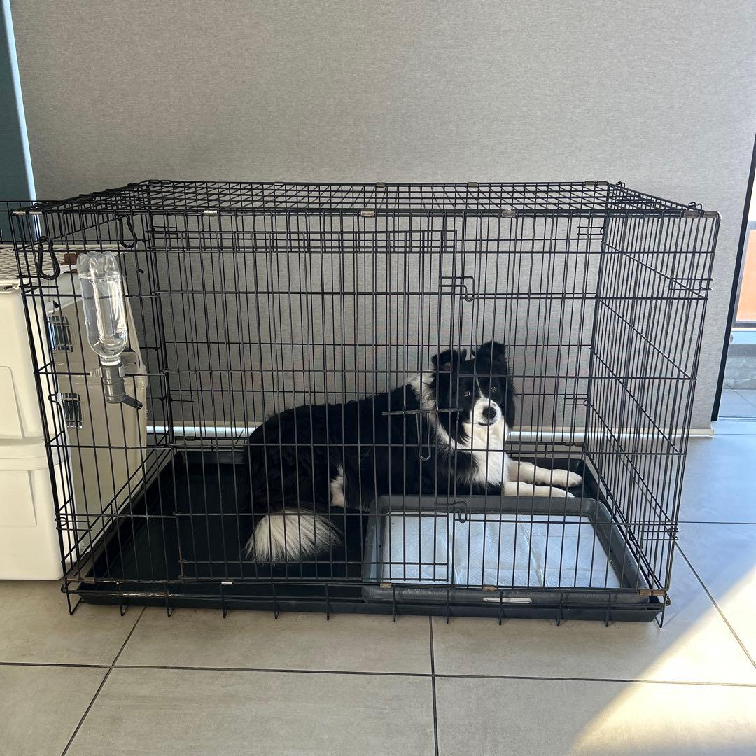 犬用ケージ用マット &すのこセット