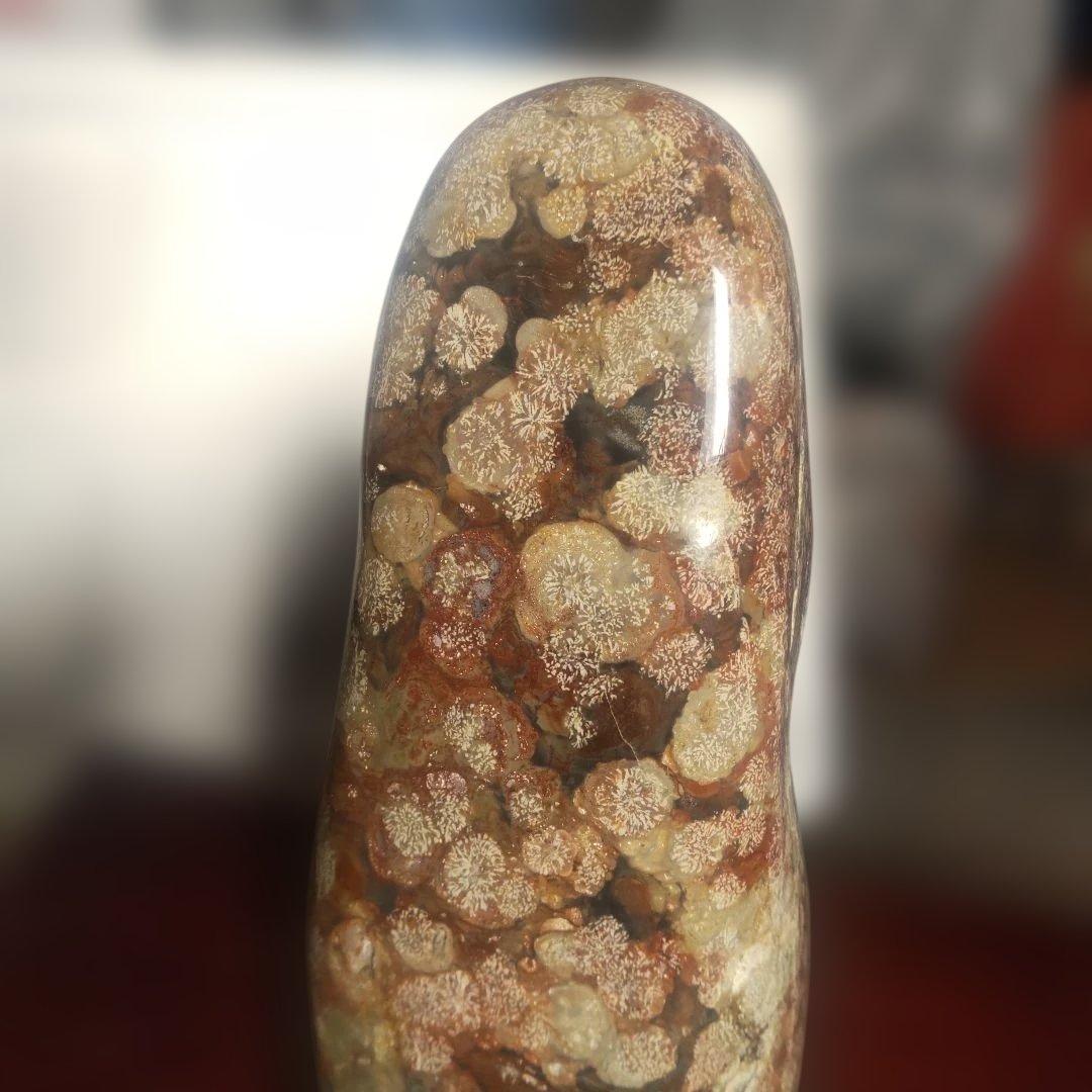 花紋石　青森県深浦町産　４０６０g　管理No.71105