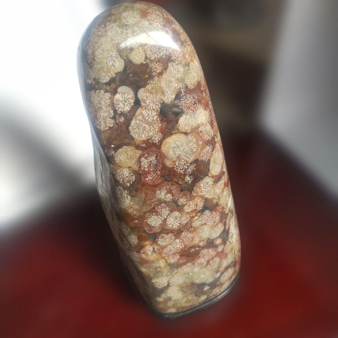 花紋石　青森県深浦町産　４０６０g　管理No.71105