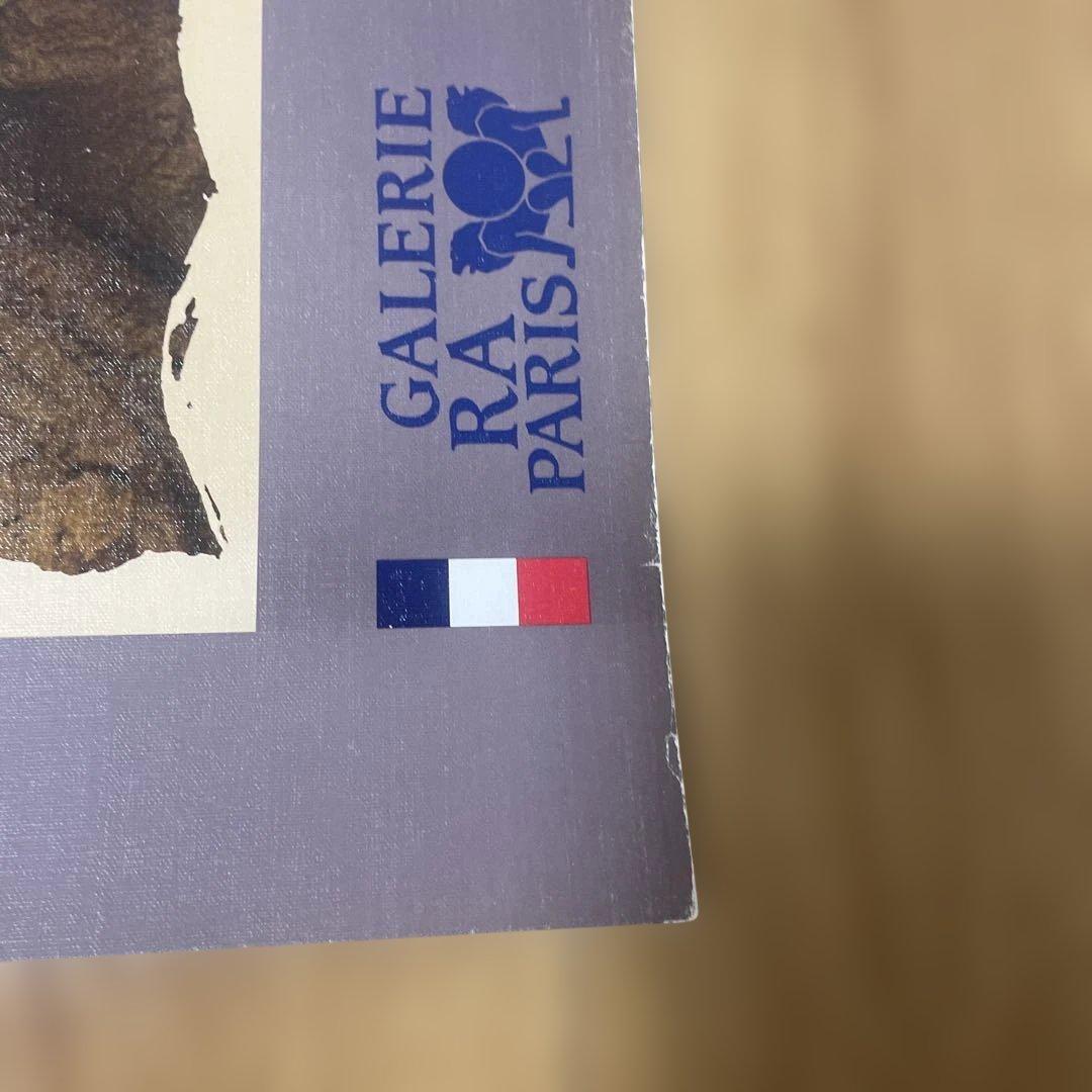 Gérard DI-MACCIO サイボーグアート