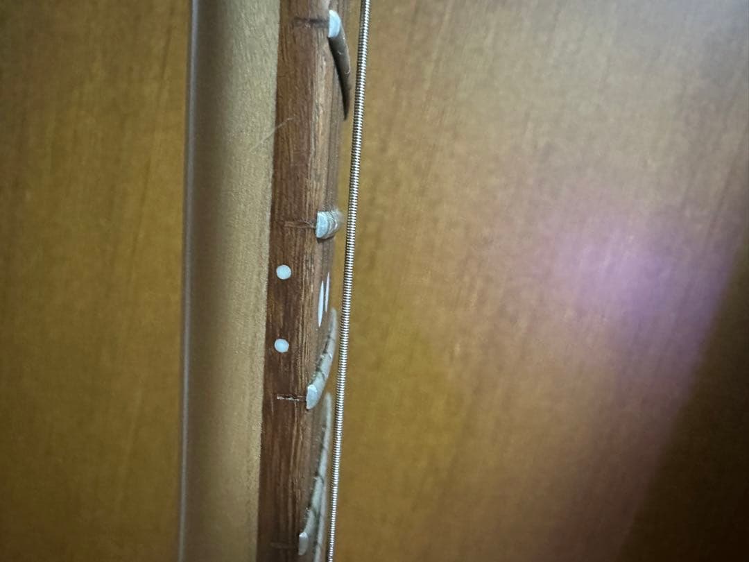 (最終価格)コルト Cort X-1 （Valley arts製 ペグ）