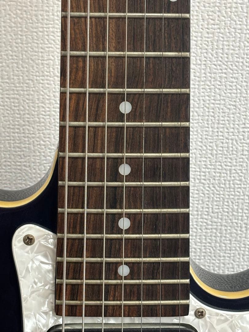 PROGAUGE by SCHECTER PS-600 7弦 モデルシェクター