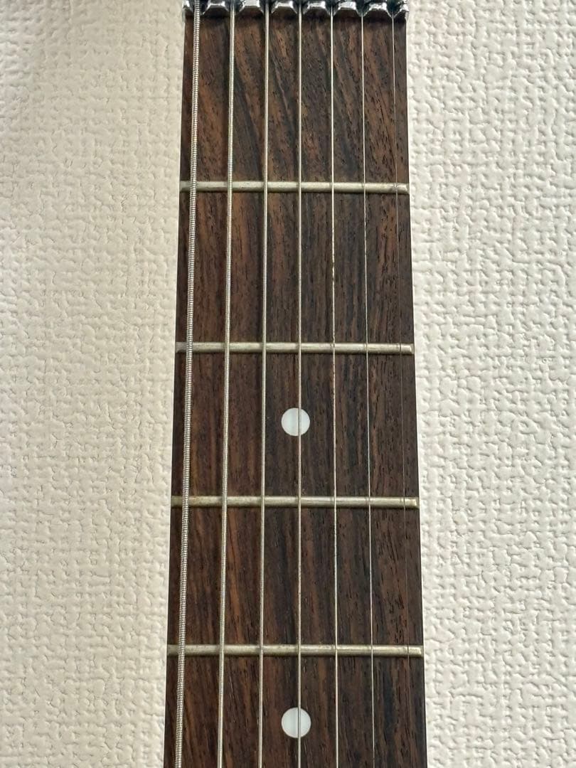 PROGAUGE by SCHECTER PS-600 7弦 モデルシェクター