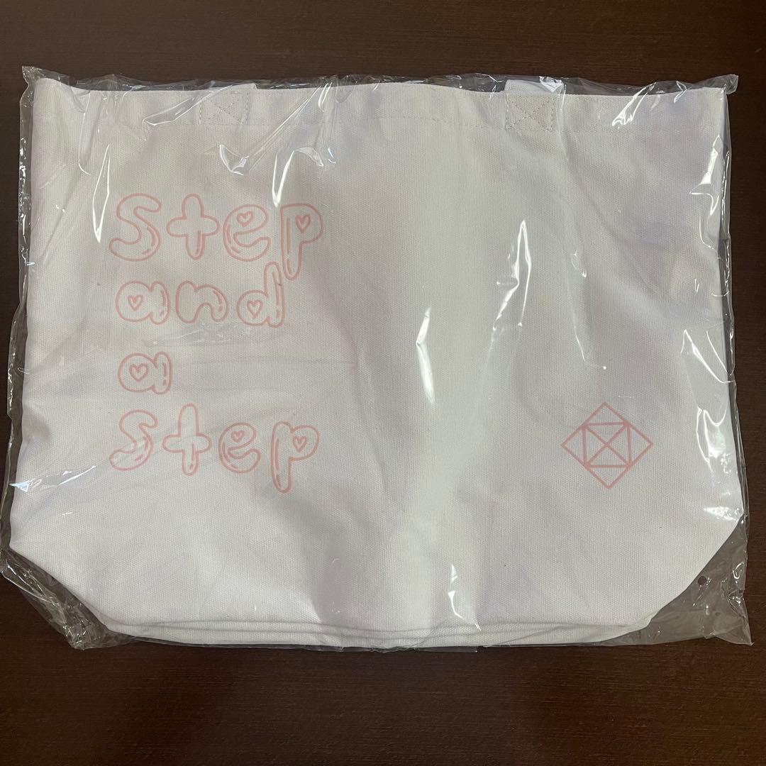 NiziU うちわ、ペンライト等グッズセット