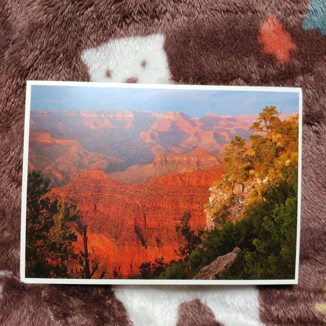 【隕石王】グランドキャニオン国立公園の美しい風景を収めたのポストカード