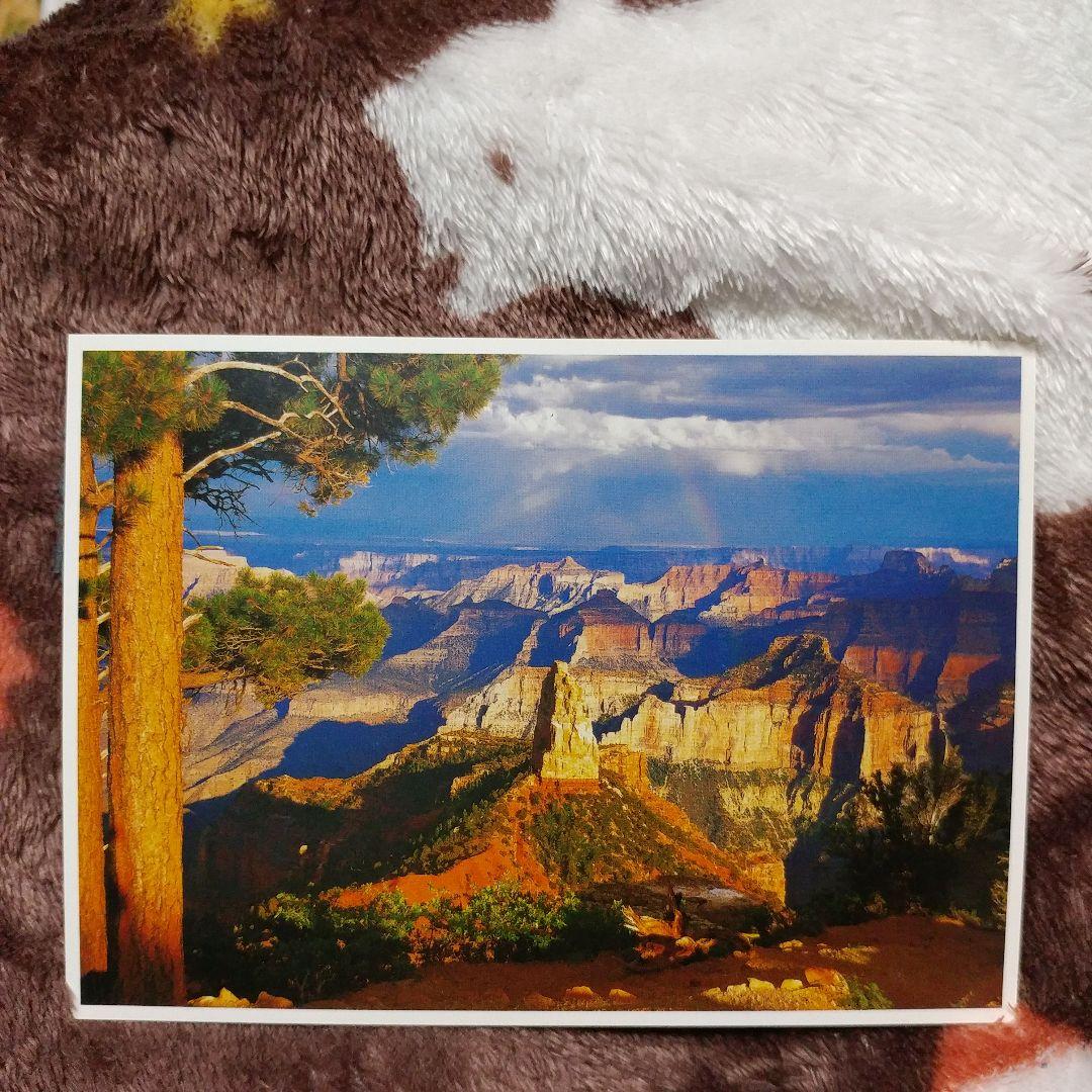 【隕石王】グランドキャニオン国立公園の美しい風景を収めたのポストカード