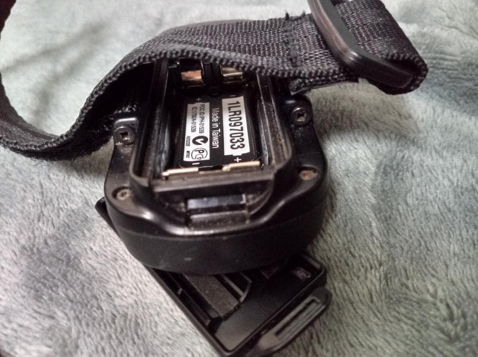 個人装備 garmin foretrex 401