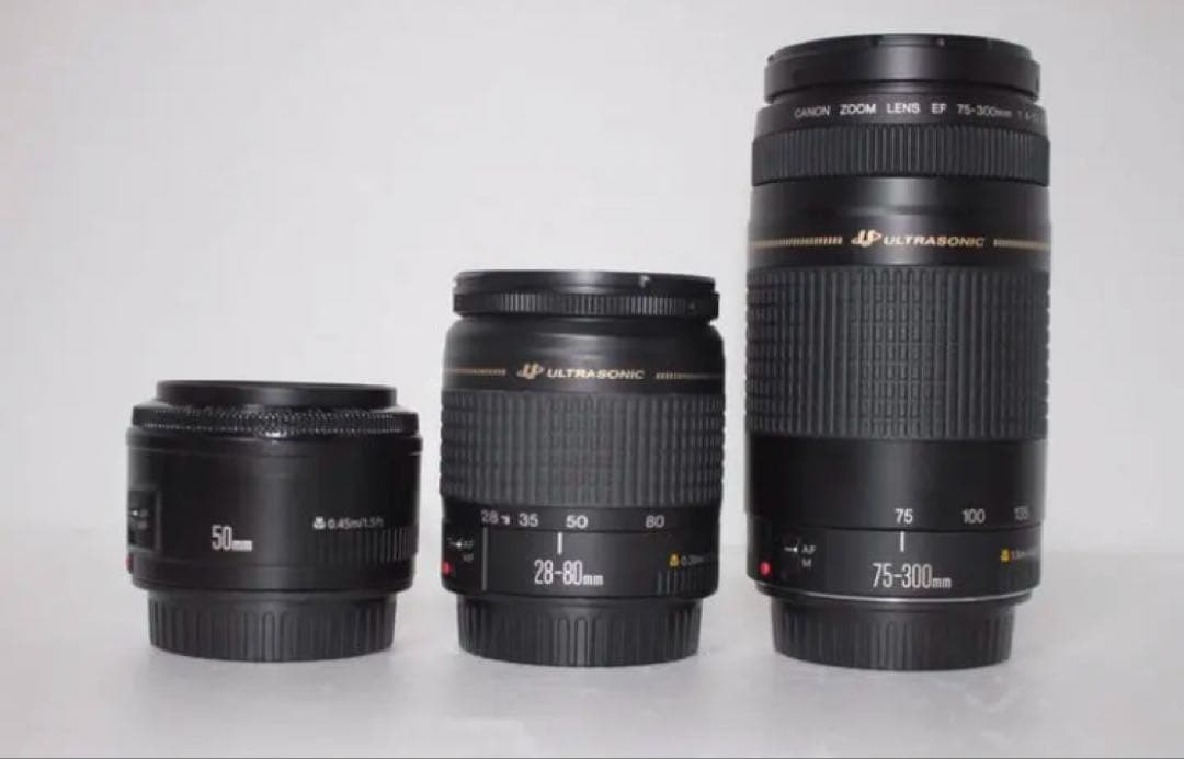 ☆保証付☆Canon EOS 9000D☆標準&望遠&単焦点トリプルレンズセット