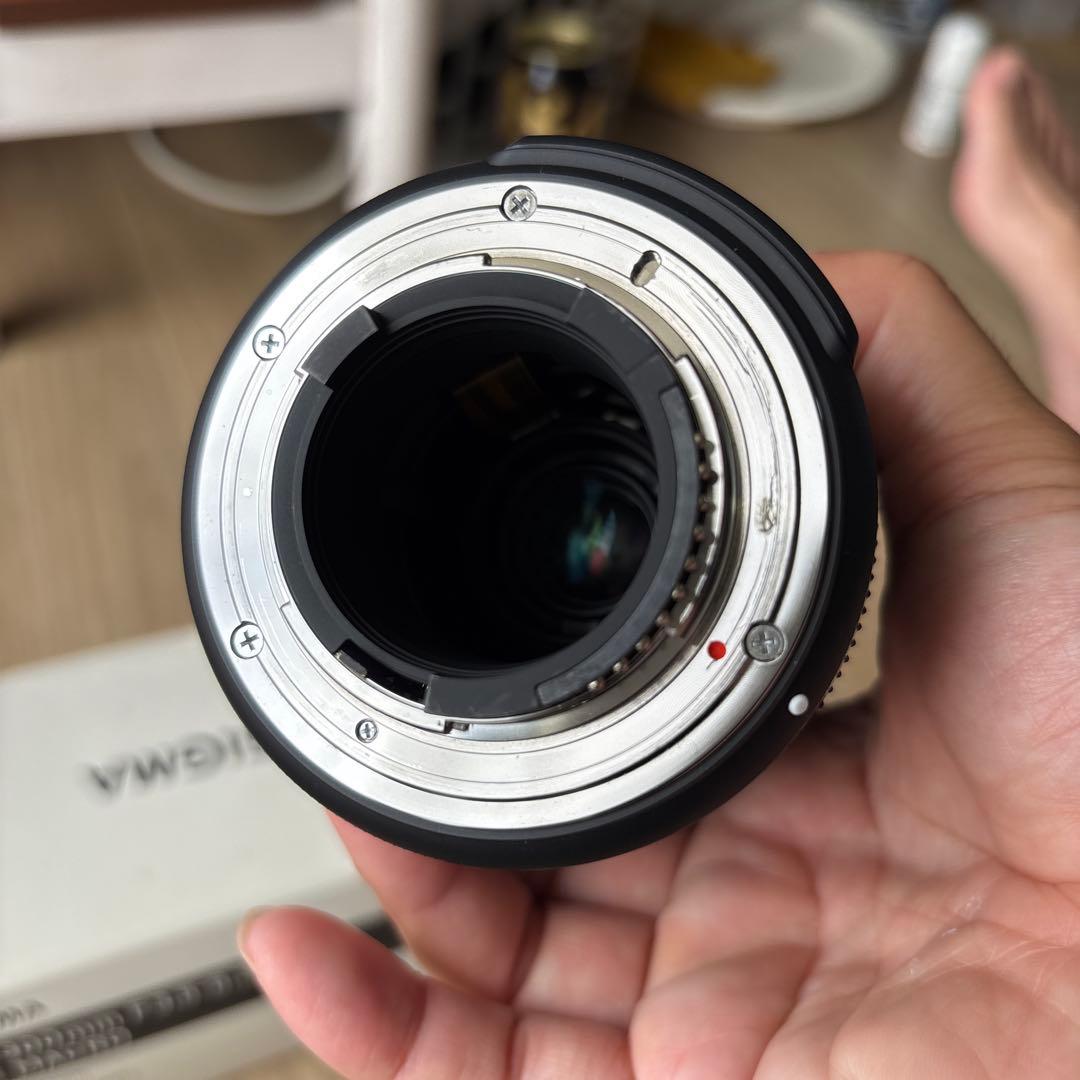 レンズ(ズーム) SIGMA 18-300mm F3.5-6.3 DC MACRO