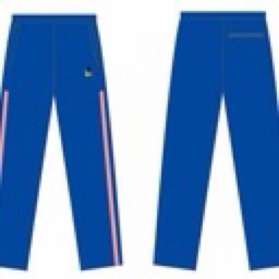 ニッポニアジャージ2020クラスター ピンク 巾着　インタビュイー 東京事変