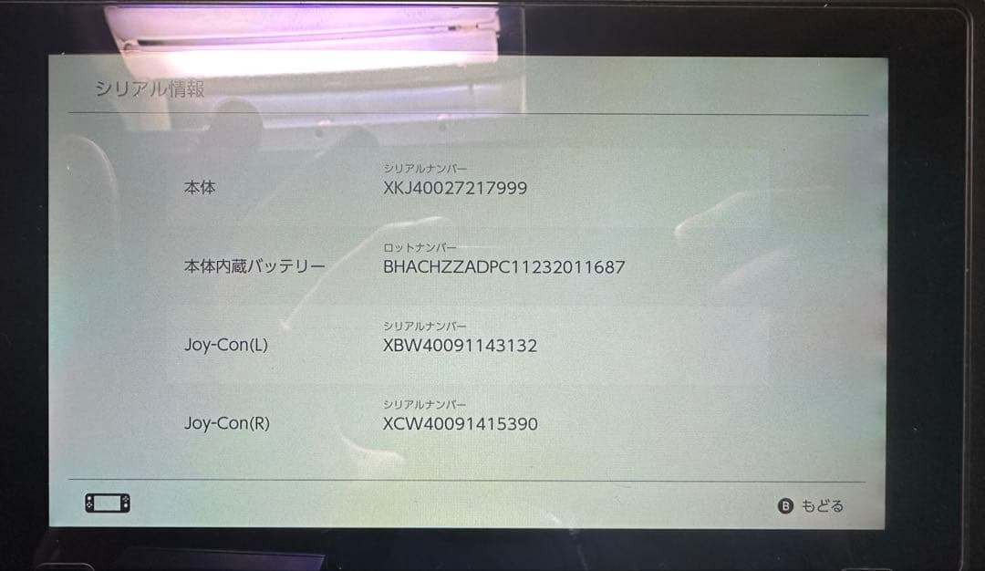 Nintendo Switch グレー 本体 + プロコン