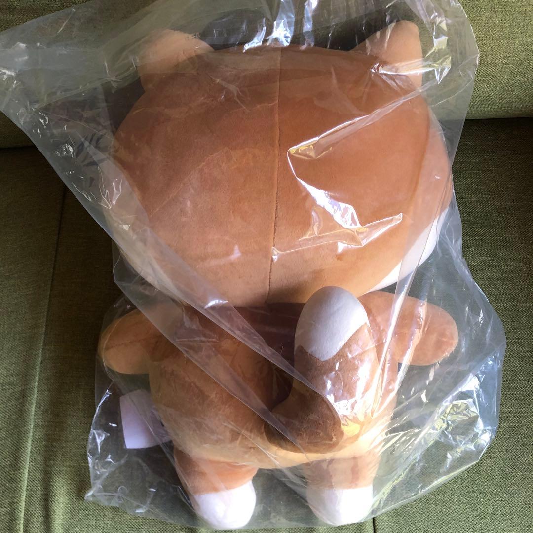 day6 denimalz ぬいぐるみジャイアントver. トレカKE ヨンケイ