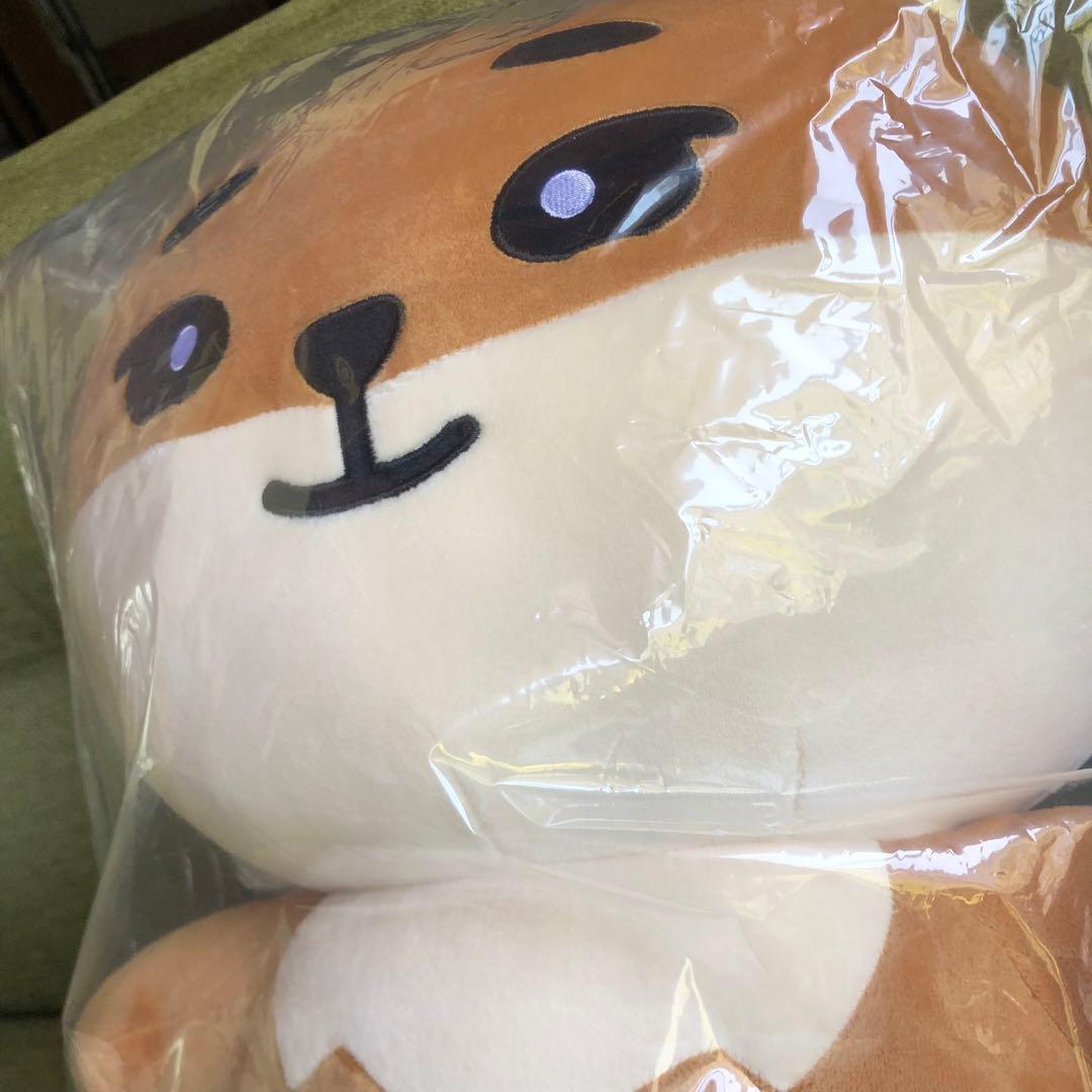 day6 denimalz ぬいぐるみジャイアントver. トレカKE ヨンケイ