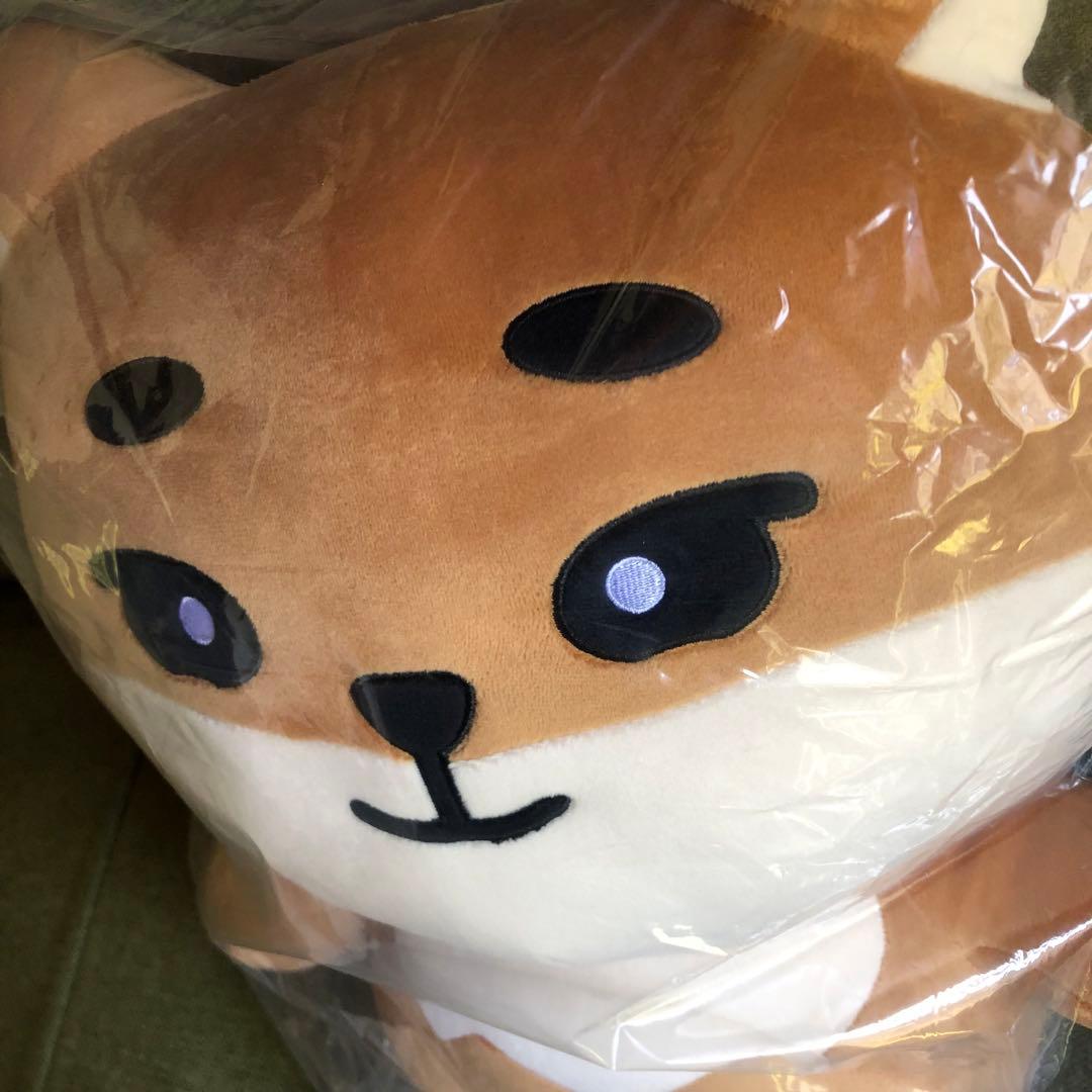 day6 denimalz ぬいぐるみジャイアントver. トレカKE ヨンケイ