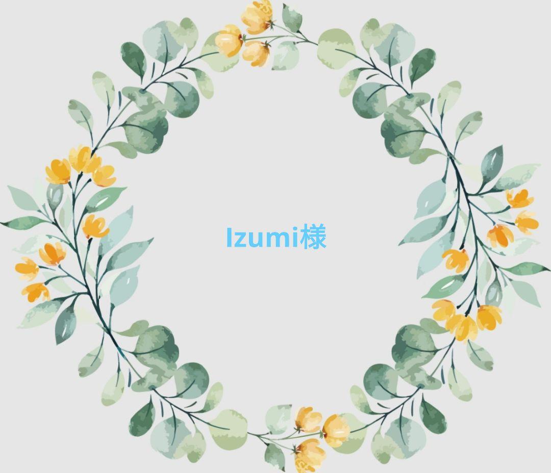 その他 Izumi