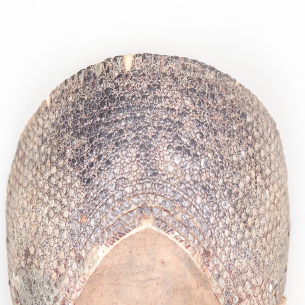 コンゴ民主共和国 レガ族 儀礼仮面／長面 付属装飾