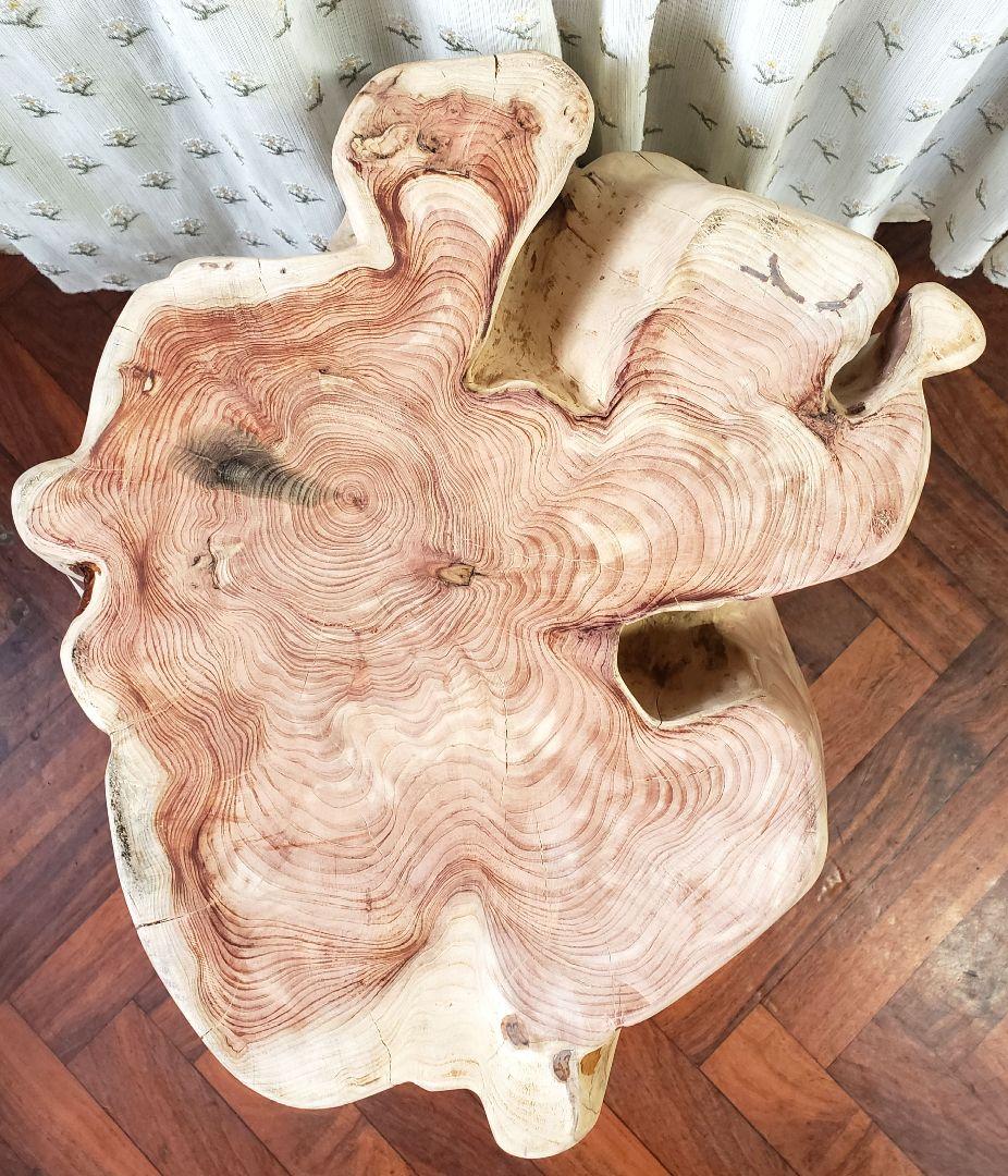 貝塚伊吹希少サイズ丸太