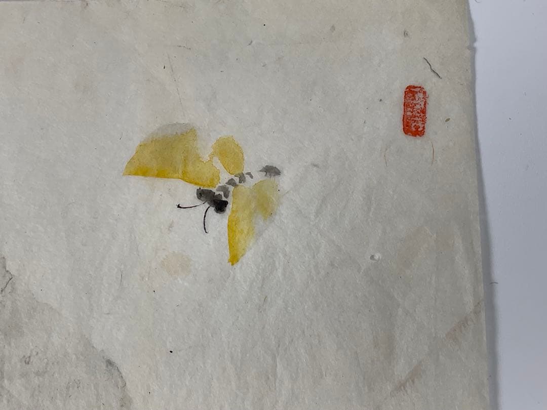 虹外筆　猫と蝶　ネコ　日本画　額入り