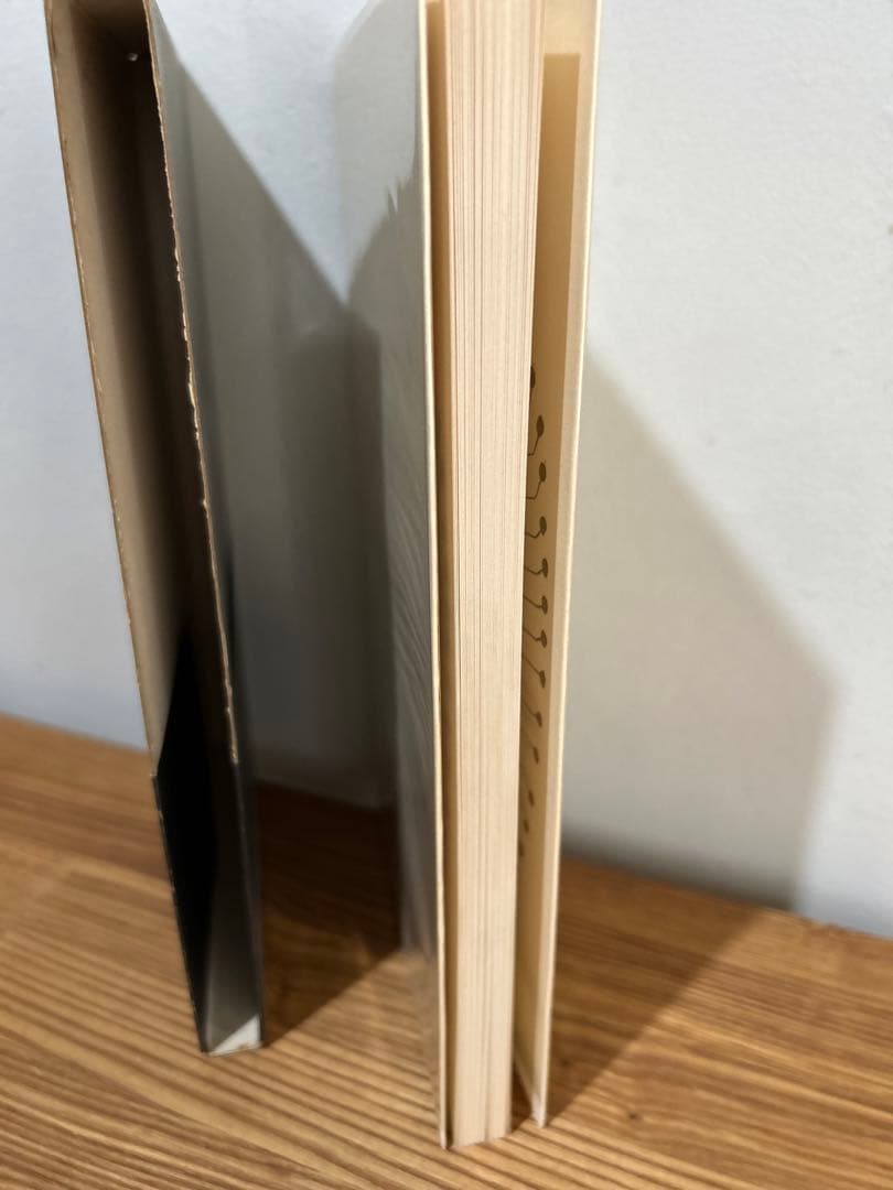 希少　絶版　平出隆 胡桃の戦意のために 単行本