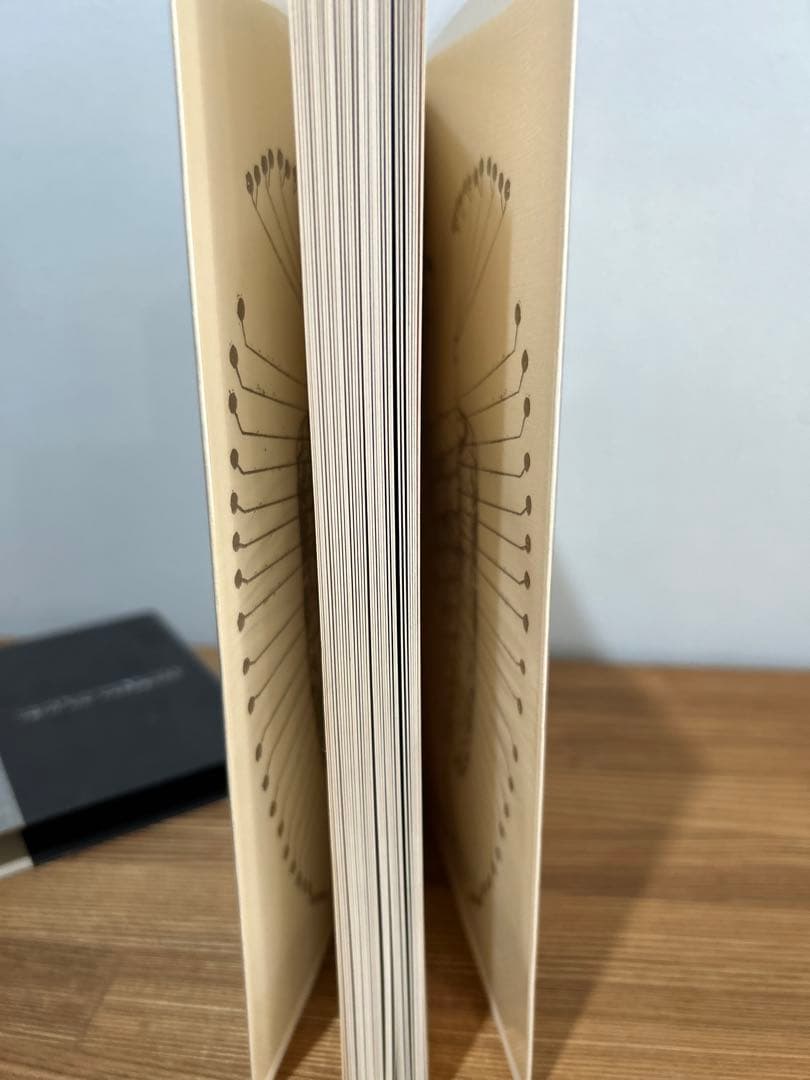 希少　絶版　平出隆 胡桃の戦意のために 単行本