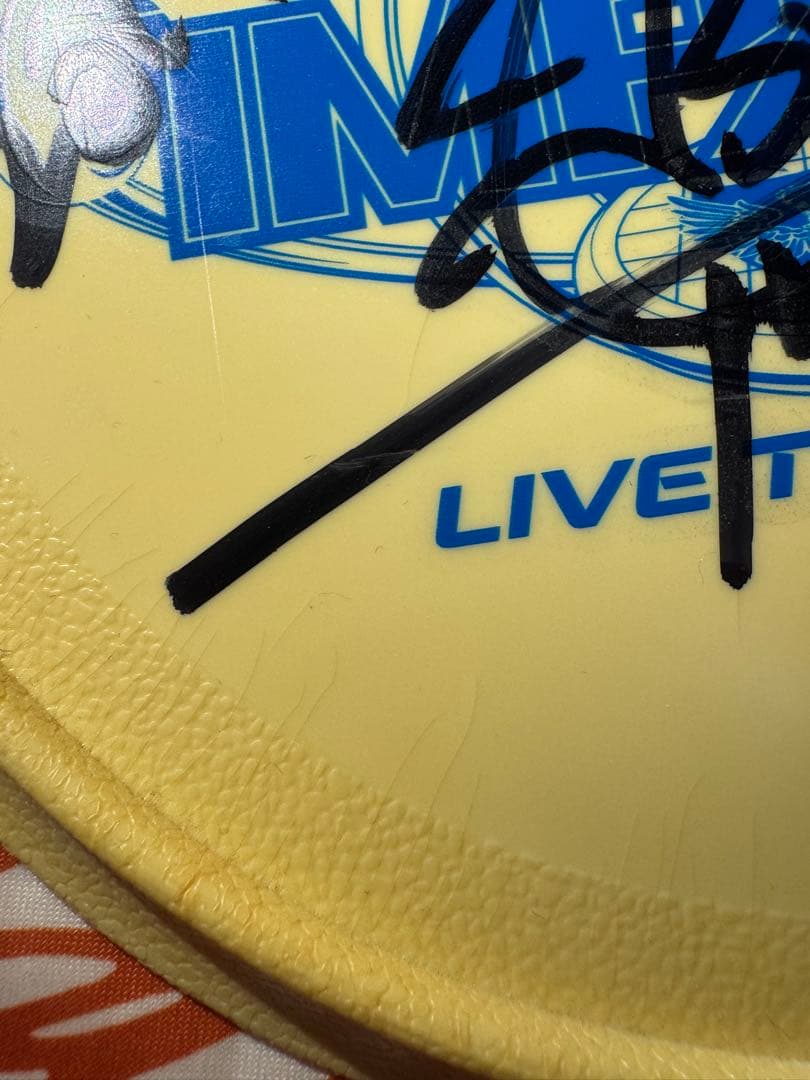 BI 岩田剛典 直筆サインフリスビー