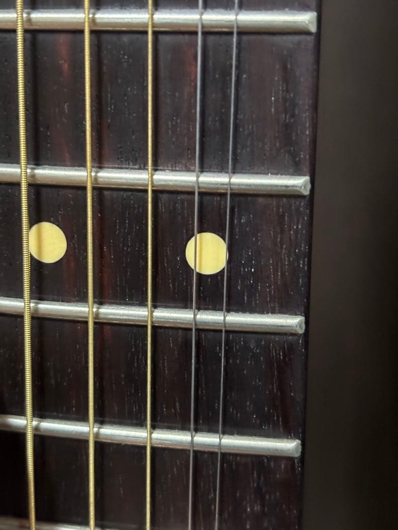 ギター Fender/Acoustasonic Standard