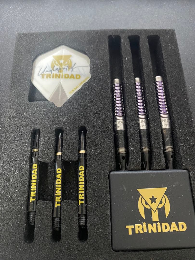 岩田夏海　TRINIDAD ROMERO Type 2 ダーツセット