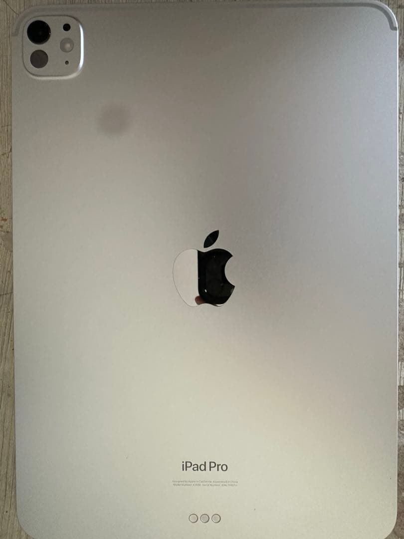 【最安値】iPad Pro11インチ 第5世代 M4チップ