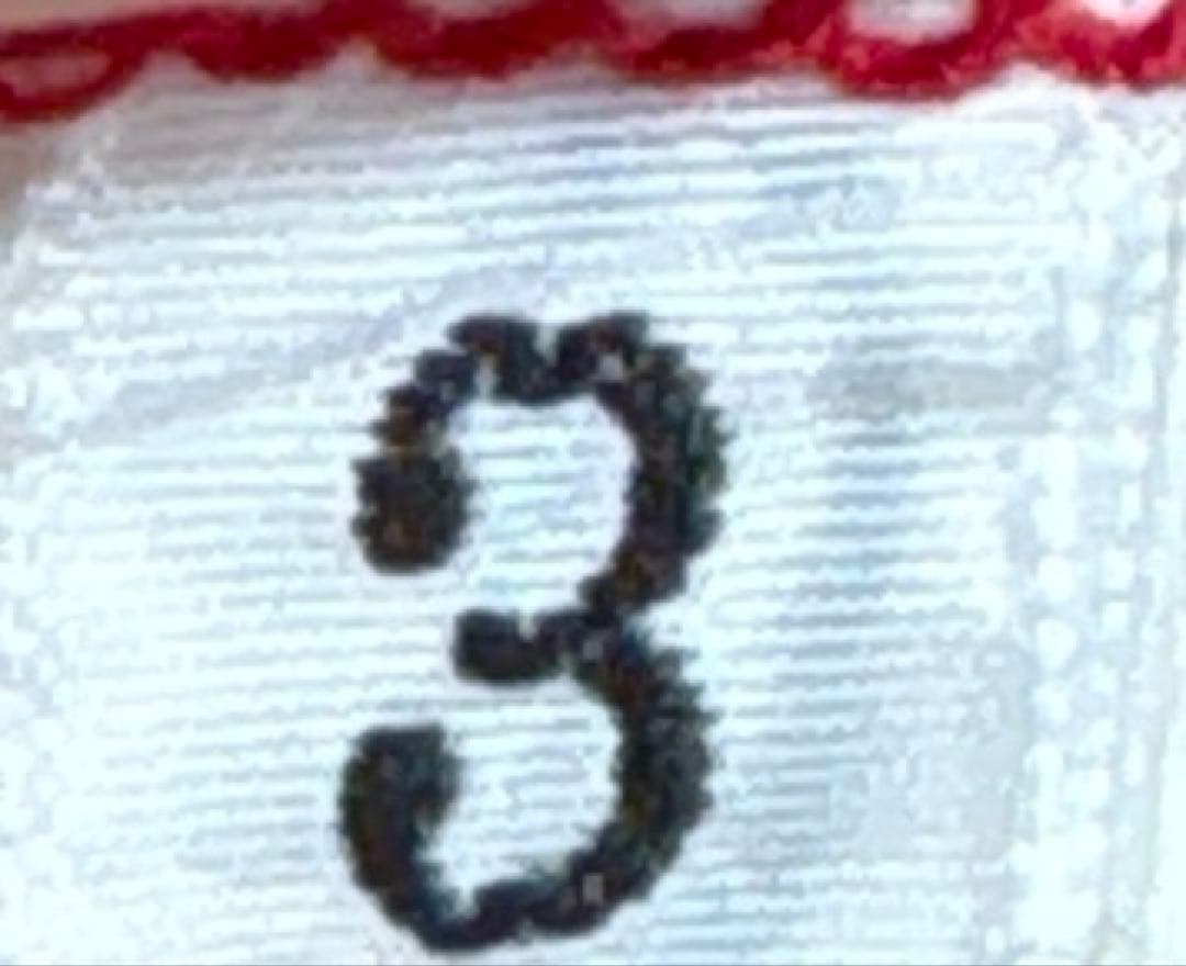 ヨウジヤマモト　2018ss 着る服ないの　サイズ3