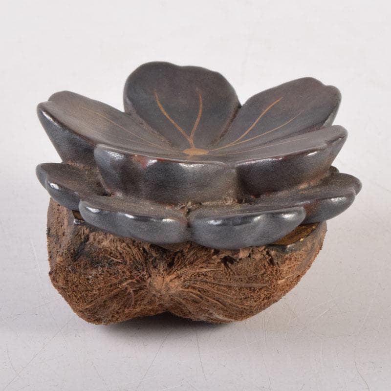 茶道具　木彫　桜　内金溜　香合　時代箱　V　8355