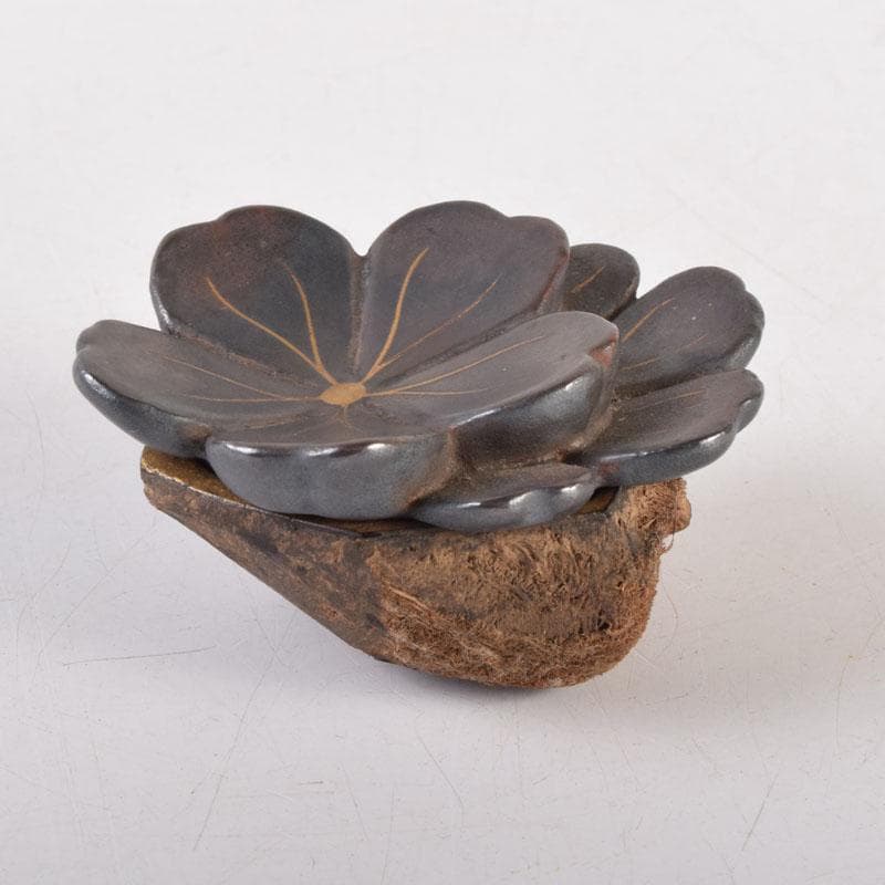 茶道具　木彫　桜　内金溜　香合　時代箱　V　8355