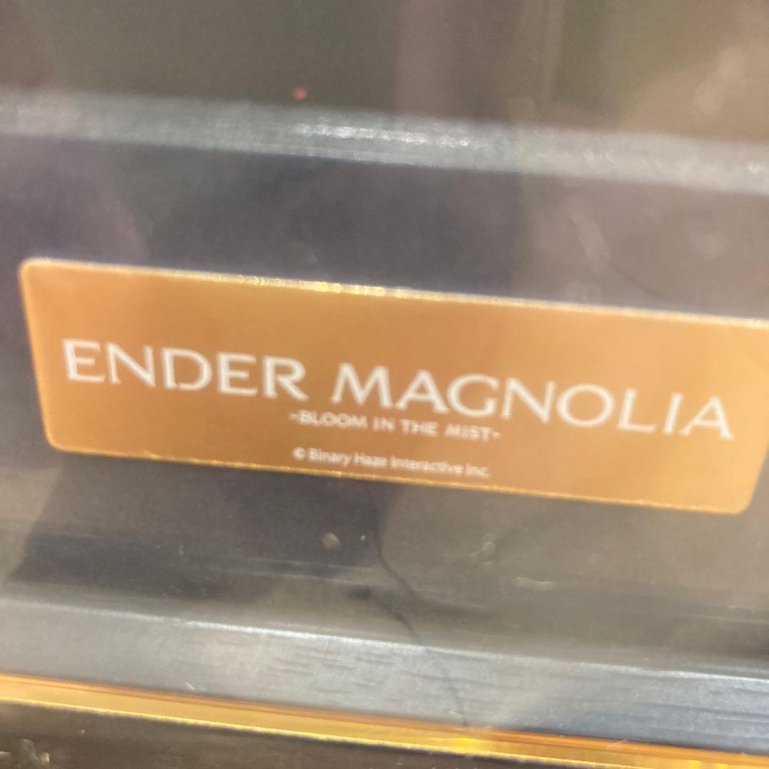 額縁 ENDER MAGNOLIA Bloom in the Mist Switch