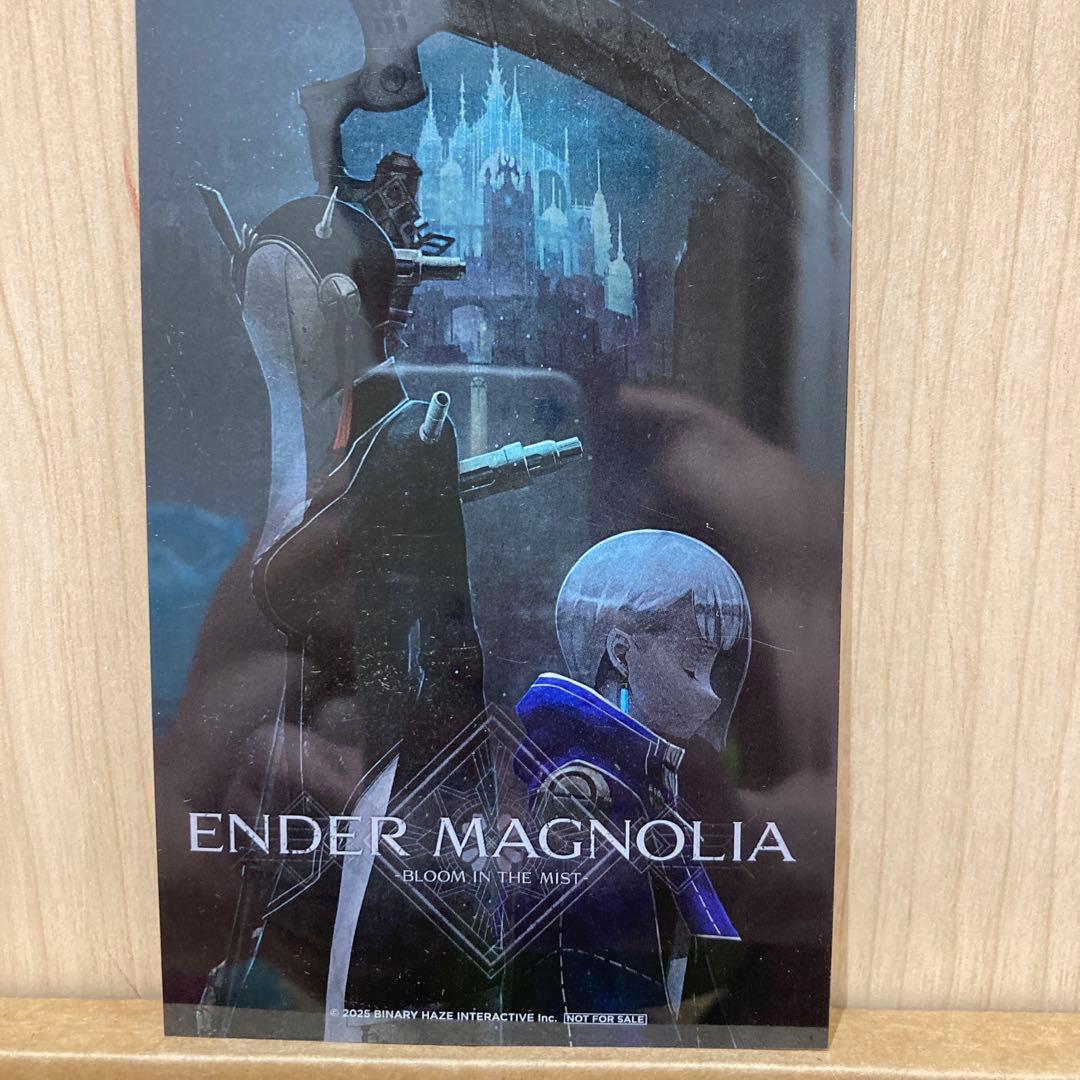 額縁 ENDER MAGNOLIA Bloom in the Mist Switch