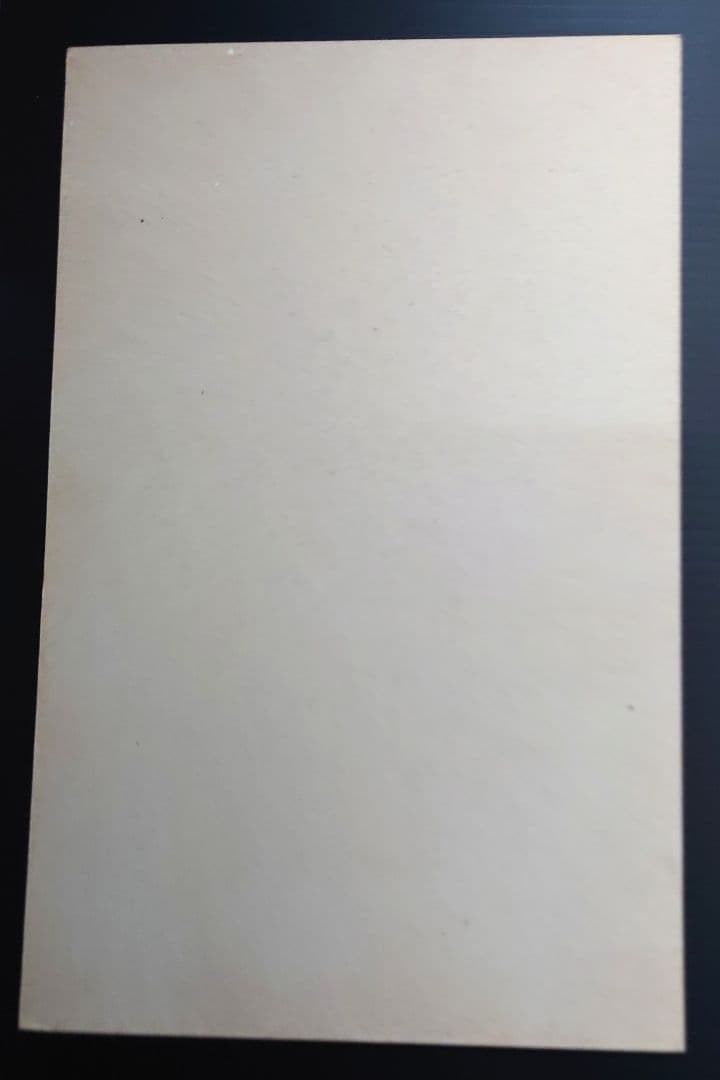 非売品 バンダイ カードダス 20 ドラゴンボール90 台紙