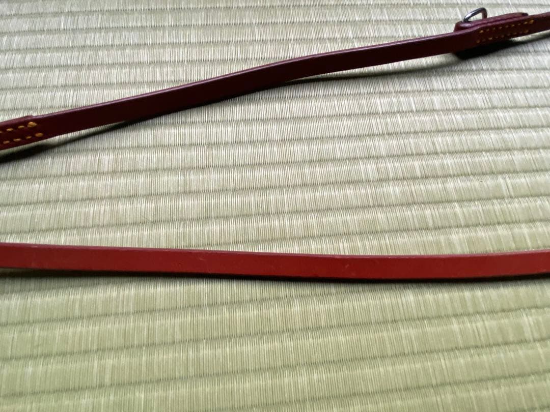 革の犬用リードと軍手はおまけに！