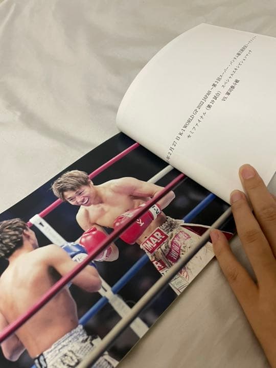 武尊 光と影 フォトブック 非売品 値下げ