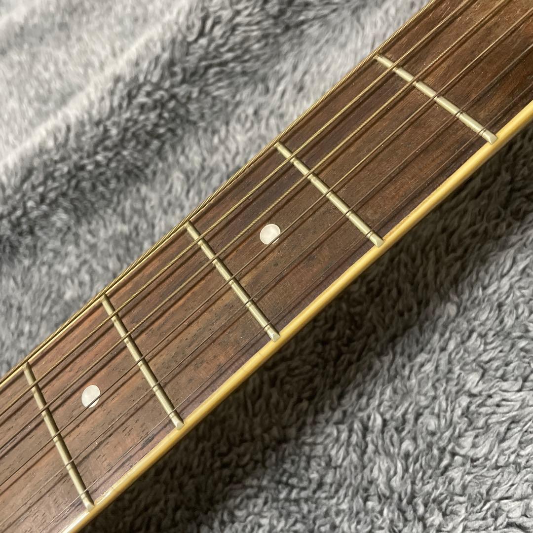 Cooder アコースティックギター サンバースト