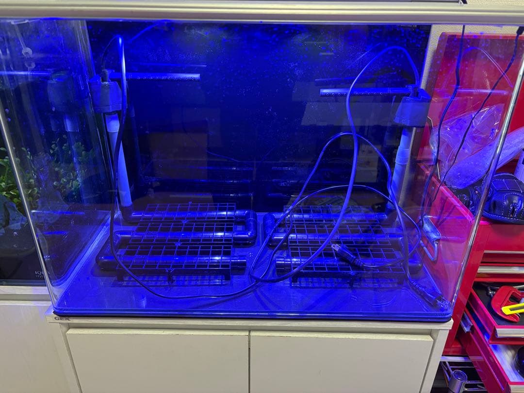アクアシステム製ニューアール600【ＧＥＸ水槽台付】